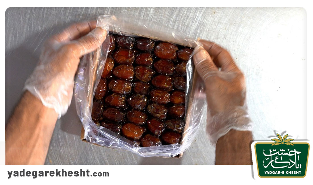 راهنمای خرید، نگهداری و مصرف خرما پیارم