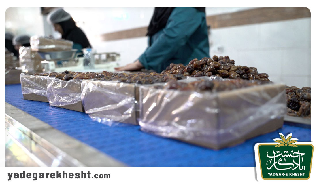 نکات مهم در مصرف خرمای مضافتی