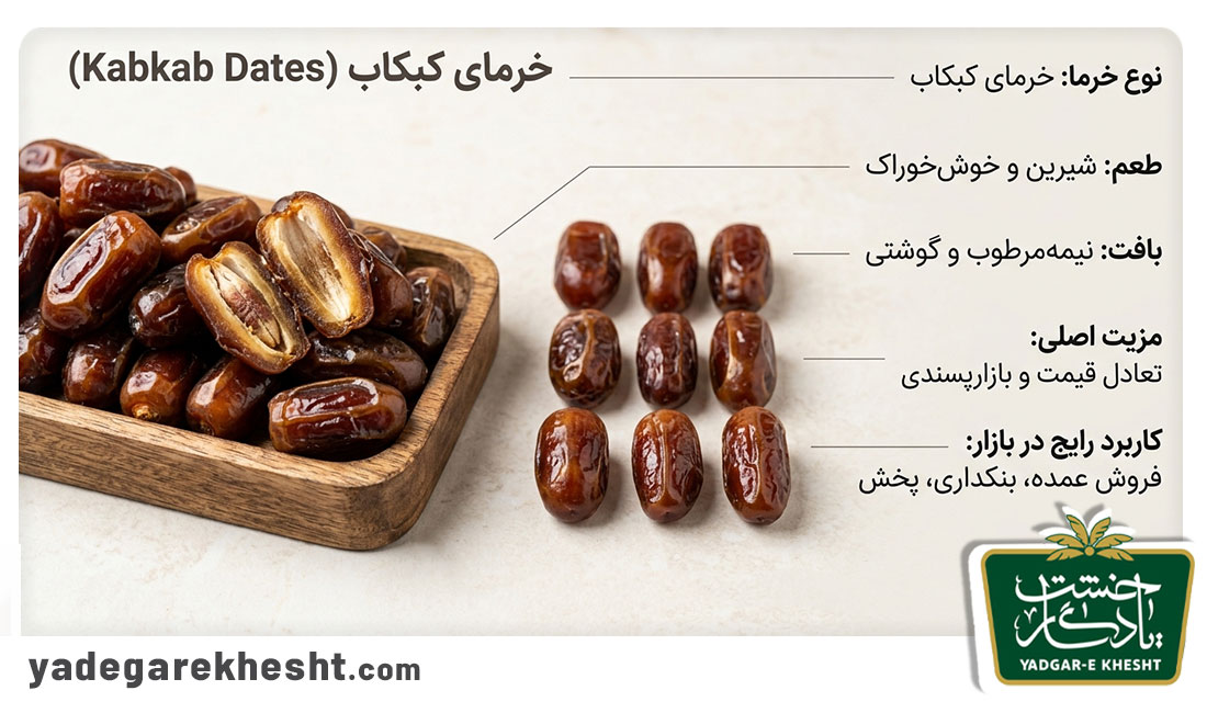 اینفوگرافیک خرمای کبکاب