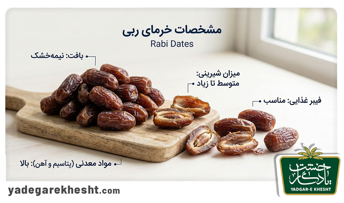 نکات مهم برای خرید خرمای ربی باکیفیت