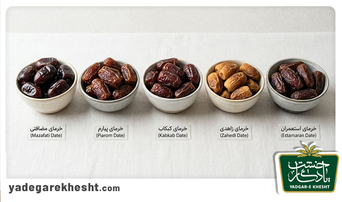 معروفترین انواع خرمای صادراتی ایران