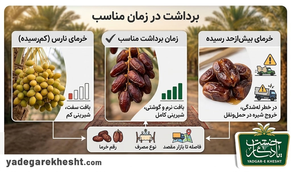 برداشت در زمان مناسب